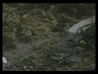 girl in wedding dress in bog