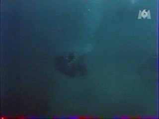 Alamo Bay, natte strakke spijkerbroeken