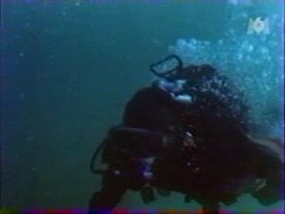 Alamo Bay, natte strakke spijkerbroeken