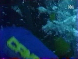 Alamo Bay, natte strakke spijkerbroeken