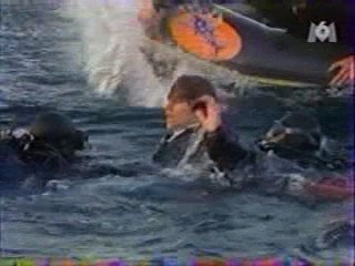 Alamo Bay, natte strakke spijkerbroeken