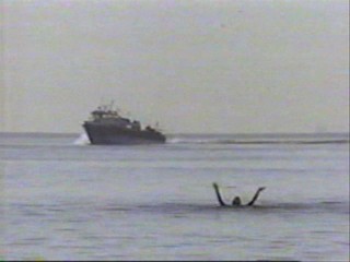 Playboy video, Baywatch, Halli Galli, St Tropez