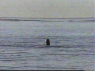 Playboy video, Baywatch, Halli Galli, St Tropez