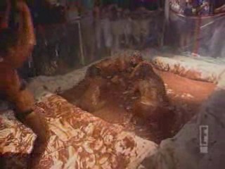 Wild on E! - chocolate pudding wrestling