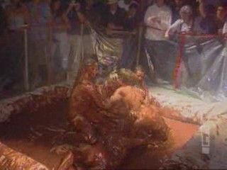 Wild on E! - chocolate pudding wrestling