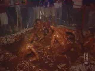 Wild on E! - chocolate pudding wrestling