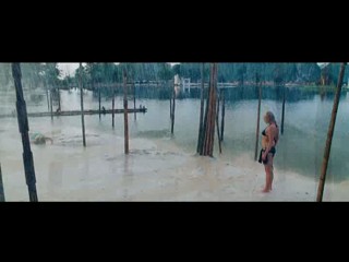 DOA (Dead Or Alive) 2006