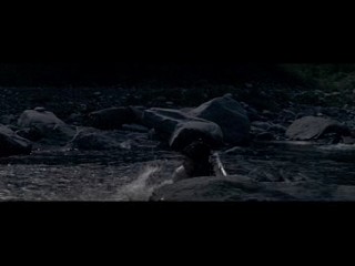 KingKong vs. Godzilla