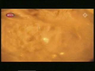 Bailey'sBath, Pepper Dennis Puddle, D.Housewives Hose