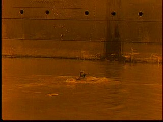 La SirÃ¨ne des tropiques