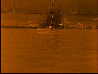 La SirÃ¨ne des tropiques