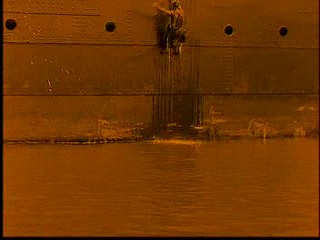 La SirÃ¨ne des tropiques