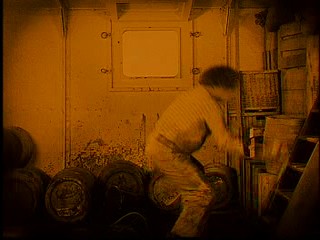 La SirÃ¨ne des tropiques