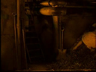 La SirÃ¨ne des tropiques