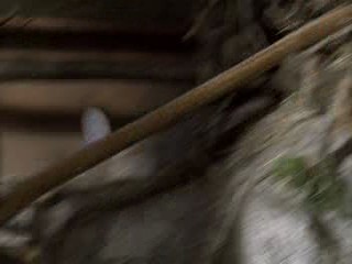 Dr. Dolittle: Tail to the Chief