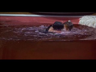 Murderer's Row (widescreen version)