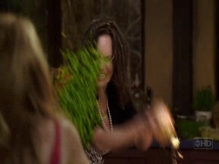 Brothers and Sisters Season 1 Episode 21