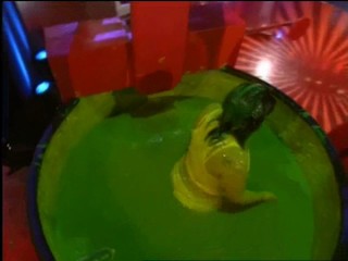 Hahet Veonsho - Israeli gameshow