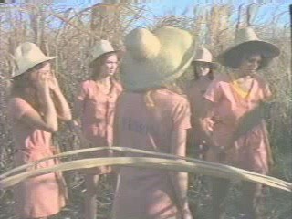 The Big Bird Cage; muddy Pam Grier