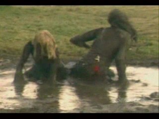 Nat Lampoons Reunion/ Support Your Local Sheriff