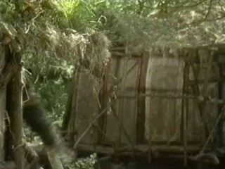 Maid Marian and Her Merry Men,  Pie-o-gram,  Slime Time Live