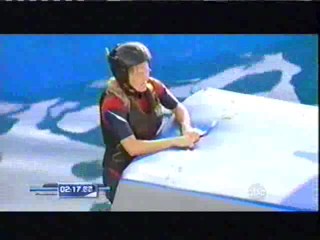 Wipeout Obstacle Course