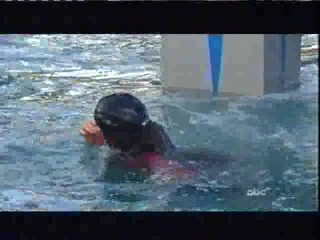 Wipeout Obstacle Course