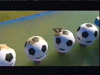 Wipeout World Cup Course