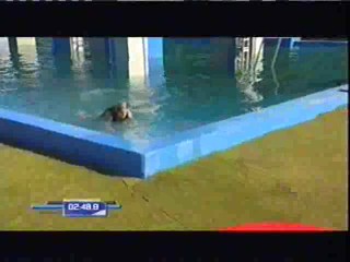 Wipeout World Cup Course