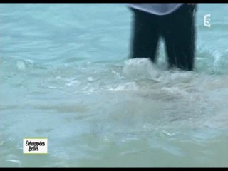 EchappÃ©es belles - Bain dÃ©marrÃ© in Guadeloupe