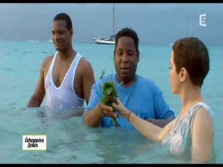 EchappÃ©es belles - Bain dÃ©marrÃ© in Guadeloupe