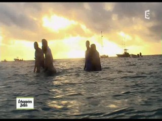 EchappÃ©es belles - Bain dÃ©marrÃ© in Guadeloupe