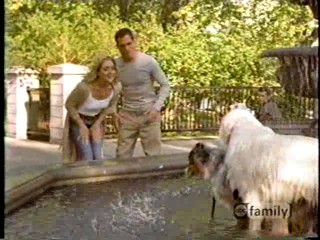 Just A Walk in The Park