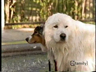 Just A Walk in The Park