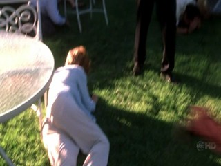 Samantha Who - Women's Murder Club - Men In Trees