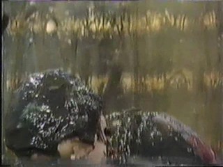 Joyce gunged on Saturday Roadshow