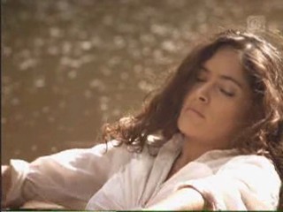 Fools Rush In, Love Stinks