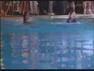 Fools Rush In, Love Stinks