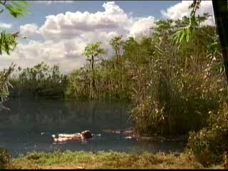 Invasion; Alexis Dziena - lake swim