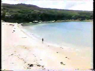 Trouble in Paradise,  Fantasy Island