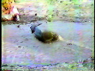 M*A*S*H,  Mud Tug-o-War