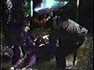 American Dreanmer,  Mission Impossible (tv series)