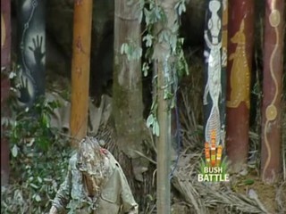 I'm A Celebrity - get me outta here