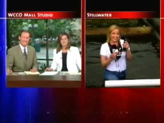 Newsreporter Logrolling