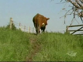 Wendy Crewson in the movie  'Twelve Mile Road'