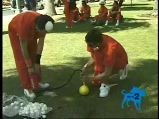 I Bet You WIll Balloon Egg Toss