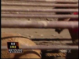 Fear Factor Pig Pen Race