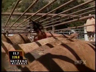 Fear Factor Pig Pen Race