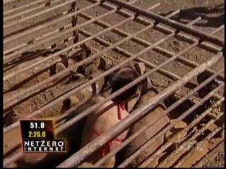 Fear Factor Pig Pen Race