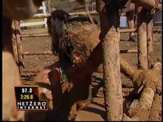 Fear Factor Pig Pen Race